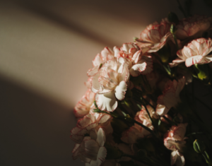 flores a domicilio